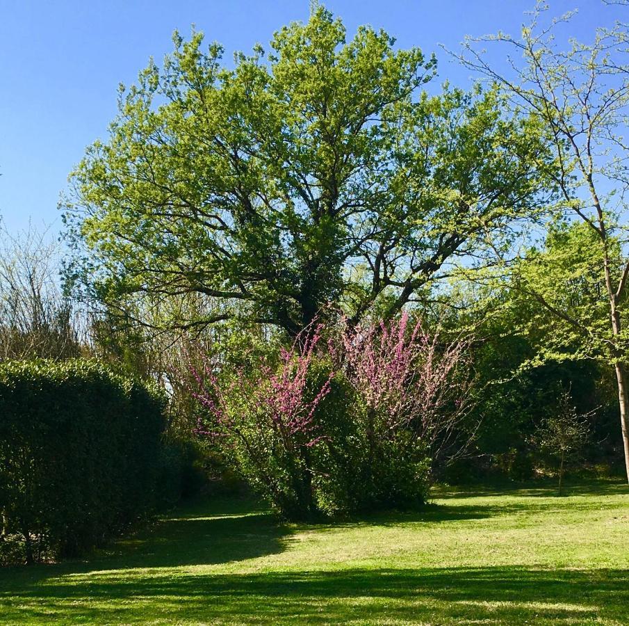 Campagne Baudeloup Bed & Breakfast ลีล-ซูร์-ลา-ซอร์ก ภายนอก รูปภาพ